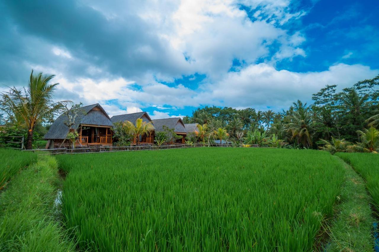 Pb Pondok Gandalangu Garden House Bali Ubud Kültér fotó